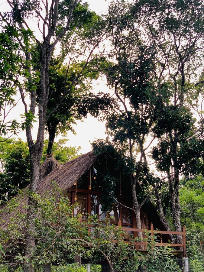 Kale Cottage Белиулойя Экстерьер фото