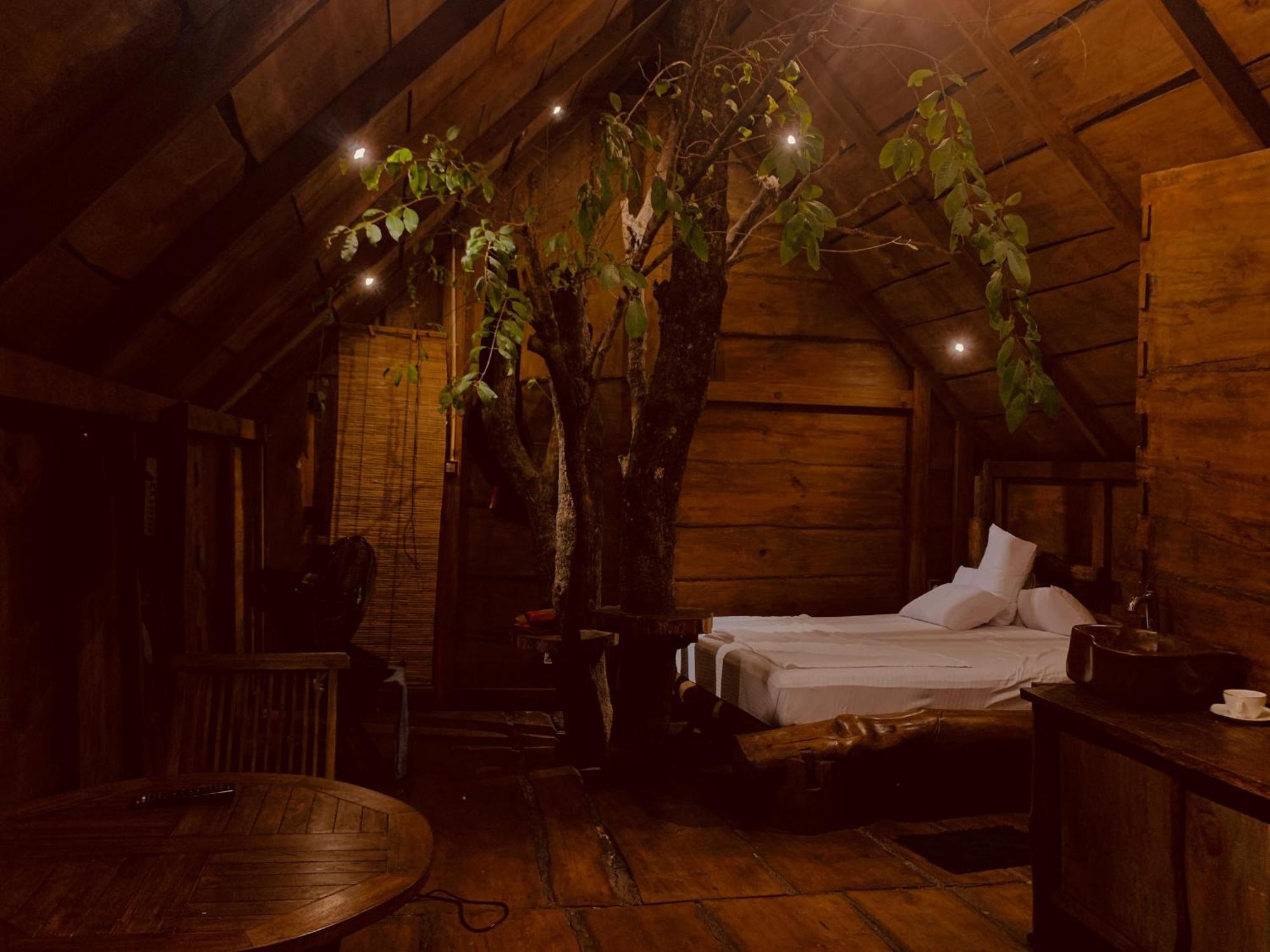 Kale Cottage Белиулойя Экстерьер фото